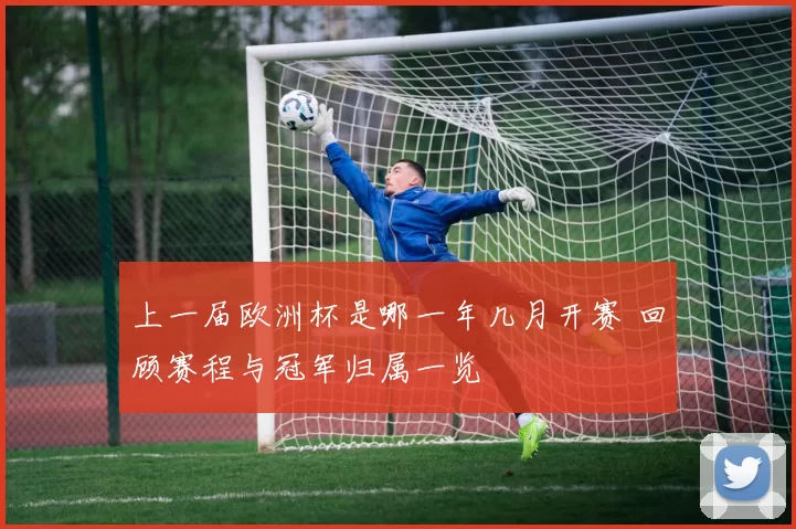 上一届欧洲杯是哪一年几月开赛 回顾赛程与冠军归属一览