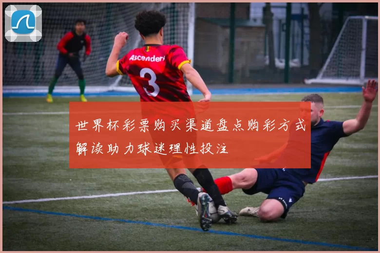 世界杯彩票购买渠道盘点购彩方式解读助力球迷理性投注