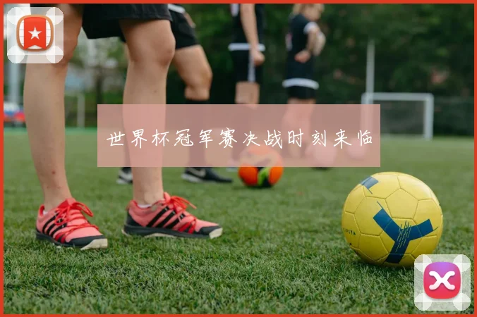 世界杯冠军赛决战时刻来临