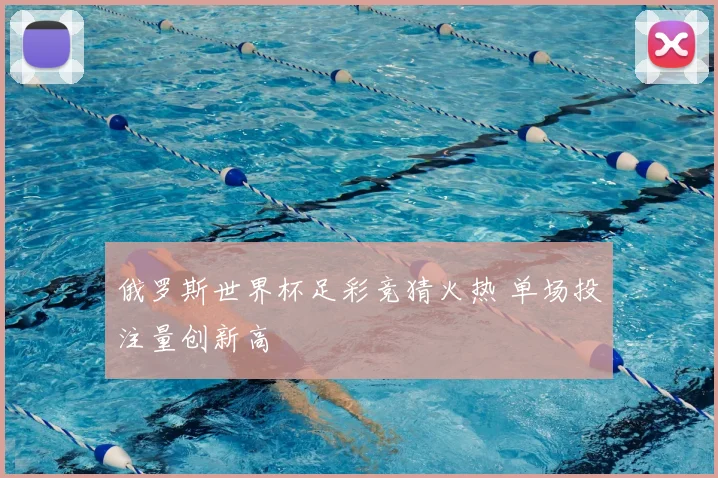 俄罗斯世界杯足彩竞猜火热 单场投注量创新高