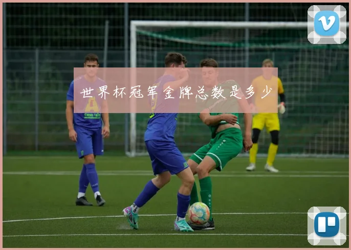 世界杯冠军金牌总数是多少