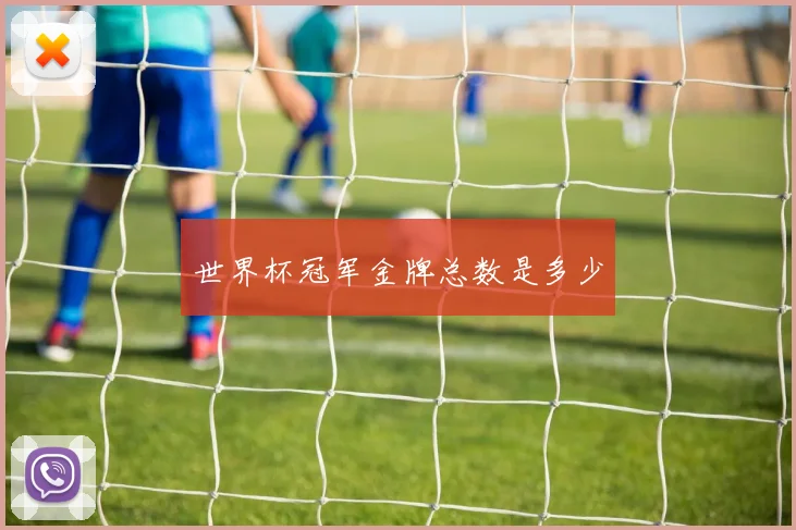 世界杯冠军金牌总数是多少